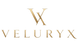 Translation missing: en.Veluryx accessibility.home